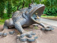 Памятник жабе
