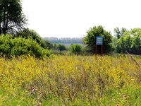 Mykhailyvska tsilyna natural reserve