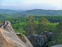 Polyanytskyy regional landscape park