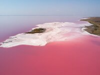 Лемурийское розовое озеро