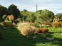 The park-monument of landscape art "Arboretum"